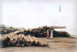 Logging